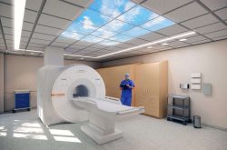 Rendering of MRI