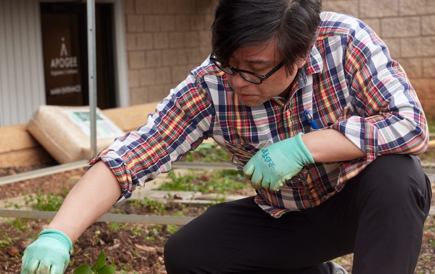 Employee gardening at Raleigh office's city garden annual planting day